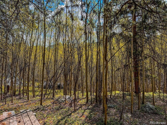 2564 Empire Valley Dr, Leadville, CO 80461 - photo 15