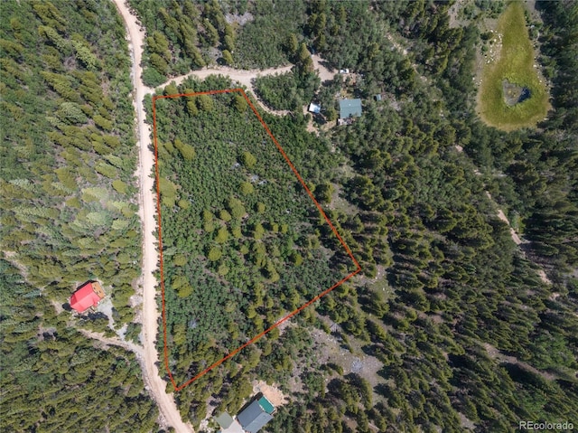 2564 Empire Valley Dr, Leadville, CO 80461 - photo 19