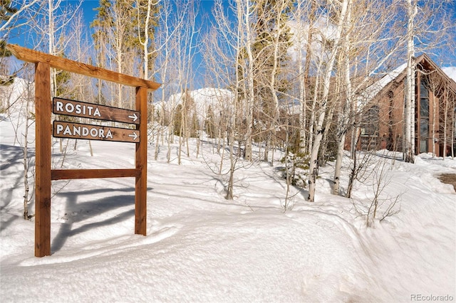 217 Van Anderson Dr Unit 6, Winter Park, CO 80482 - view of snowy yard
