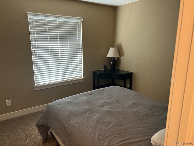 1495 Goldsmith Dr, Highlands Ranch, CO 80126 - carpeted bedroom with baseboards