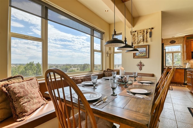 tiled dining area featuring a wealth of natural light