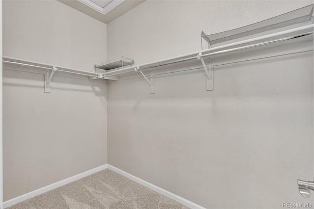 540 E Fremont Pl, Centennial, CO 80122 - spacious closet with carpet floors
