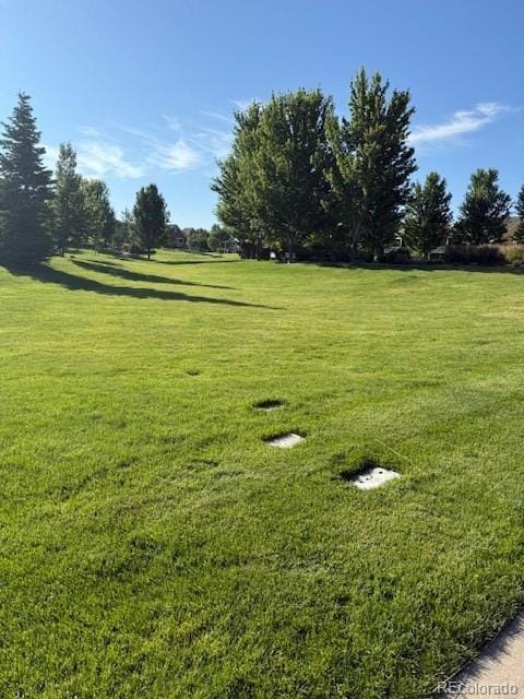 14247 W 84th Cir Unit A, Arvada, CO 80005 - view of grassy yard