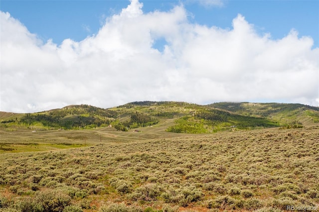 1750 Wildhorse Dr, Granby, CO 80446