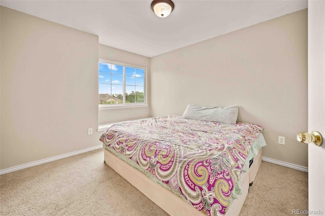 10170 E 151st Ct, Brighton, CO 80602 - bedroom with carpet and baseboards