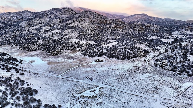 view of mountain feature