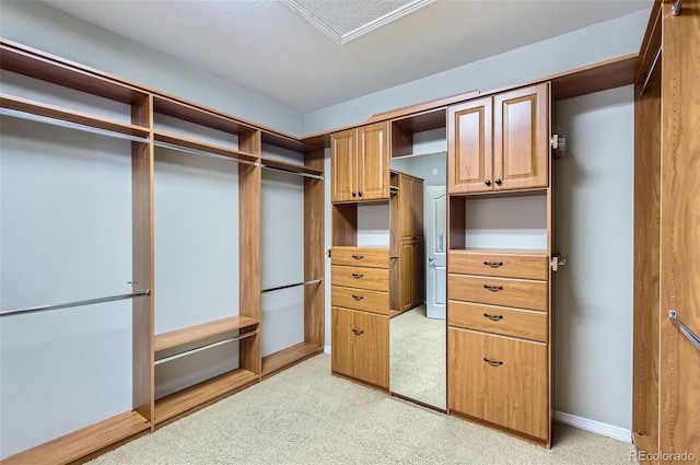 walk in closet with light carpet