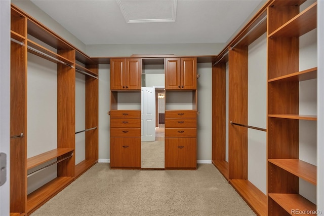 walk in closet with attic access