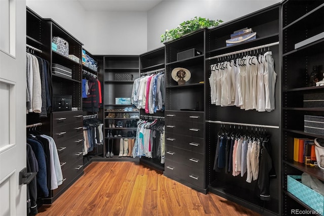 spacious closet featuring wood-type flooring