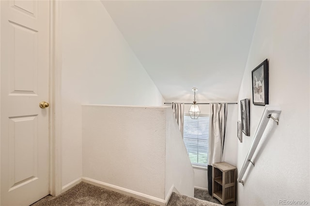 stairway with lofted ceiling and carpet