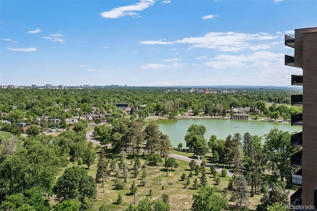 460 S Marion Pkwy Unit 1856, Denver, CO 80209 - water view