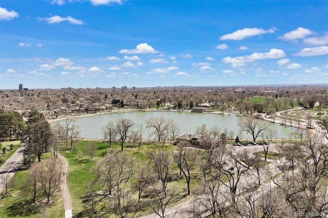 460 S Marion Pkwy Unit 1856, Denver, CO 80209 - water view