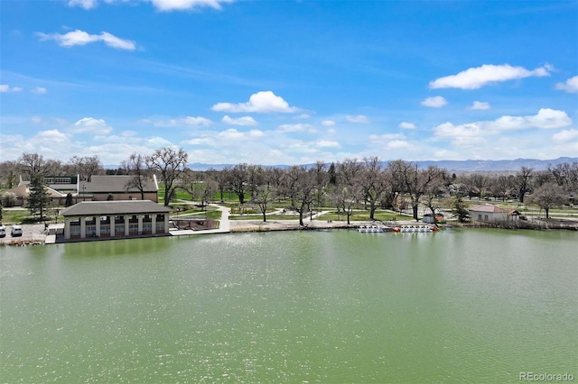 460 S Marion Pkwy Unit 1856, Denver, CO 80209 - water view featuring a mountain backdrop