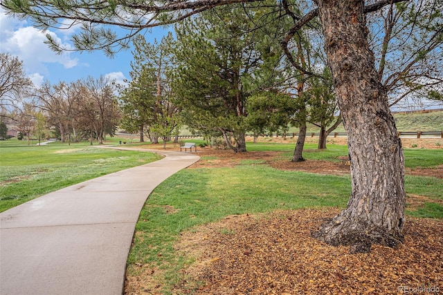 surrounding community featuring a yard