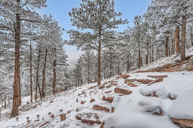 795 Pine Brook Rd, Boulder, CO 80304 - view of snow covered land