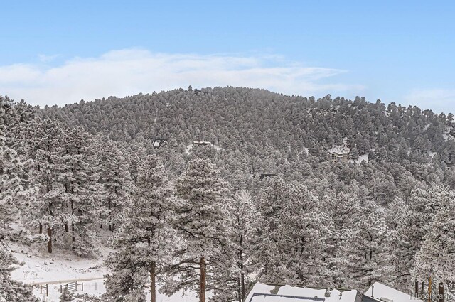 795 Pine Brook Rd, Boulder, CO 80304 - mountain view with a forest