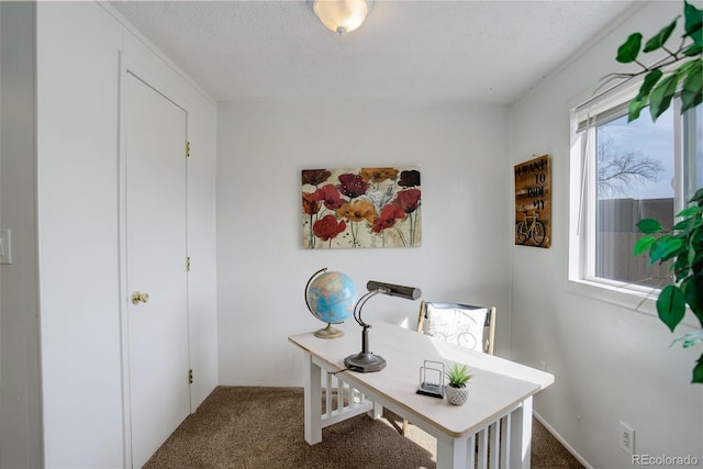 office featuring carpet floors, a textured ceiling, and a healthy amount of sunlight