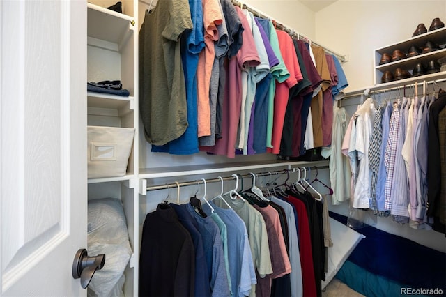 10127 Bluffmont Ln, Lone Tree, CO 80124 - view of spacious closet