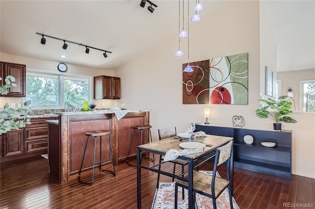 3001 Eagle Ridge Rd, Longmont, CO 80503 - dining area with rail lighting, dark wood-style flooring, and lofted ceiling