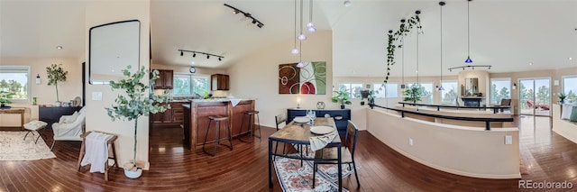 3001 Eagle Ridge Rd, Longmont, CO 80503 - interior space with rail lighting, dark wood-type flooring, plenty of natural light, and baseboards
