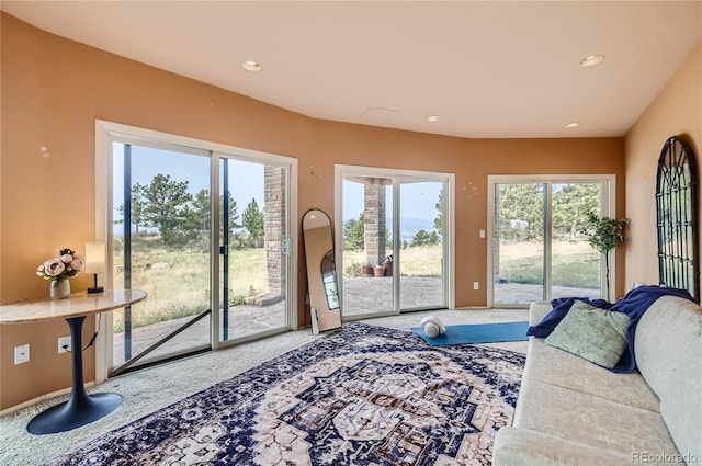3001 Eagle Ridge Rd, Longmont, CO 80503 - living area with carpet flooring and recessed lighting