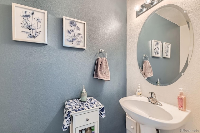 20000 Mitchell Pl Unit 51, Denver, CO 80249 - bathroom featuring a sink and a textured wall