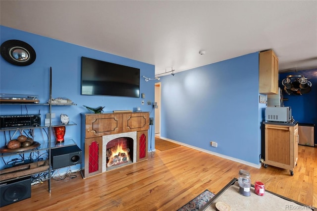 living room featuring light wood-type flooring and a fireplace