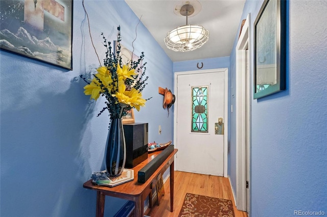 entryway with hardwood / wood-style floors