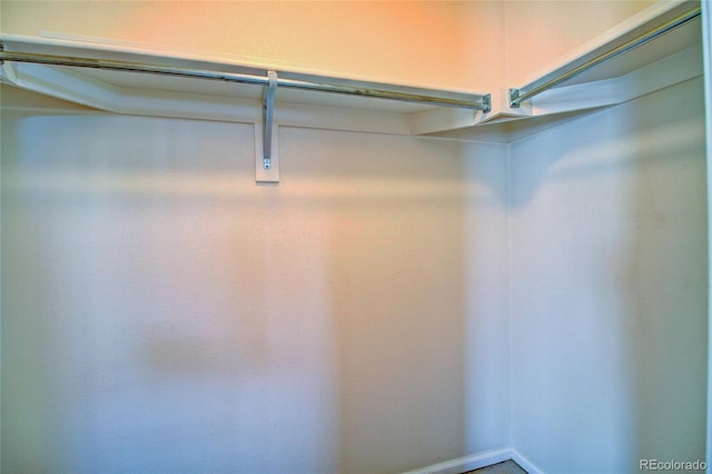 8416 S Reed St, Littleton, CO 80128 - view of spacious closet