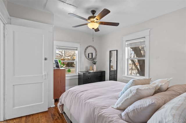 bedroom with multiple windows, ceiling fan, and dark hardwood / wood-style flooring