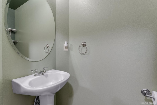 505 Cimarron Dr, Ault, CO 80610 - photo 18