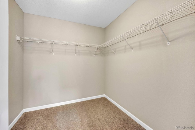 3522 Harvard Pl, Broomfield, CO 80023 - walk in closet with carpet