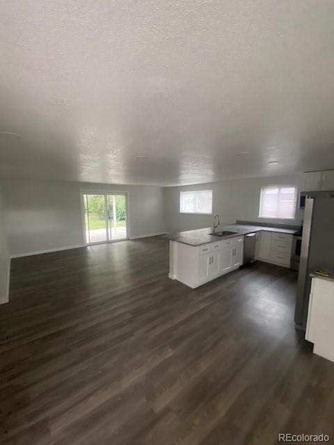 8220 E 104th Way, Henderson, CO 80640 - kitchen with open floor plan, stainless steel dishwasher, plenty of natural light, a sink, and a textured ceiling