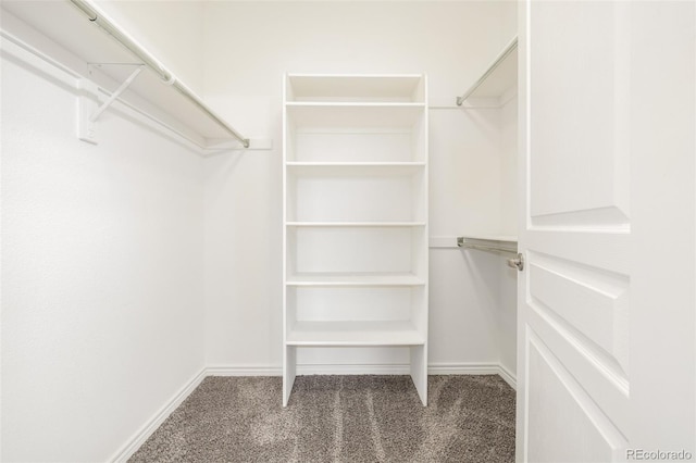 walk in closet featuring carpet