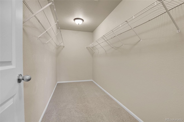 12793 Leyden St Unit D, Thornton, CO 80602 - photo 29