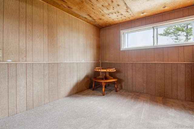 carpeted spare room featuring wooden walls and a healthy amount of sunlight