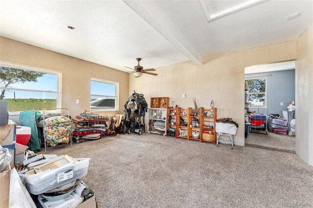 miscellaneous room with beamed ceiling, carpet flooring, and ceiling fan