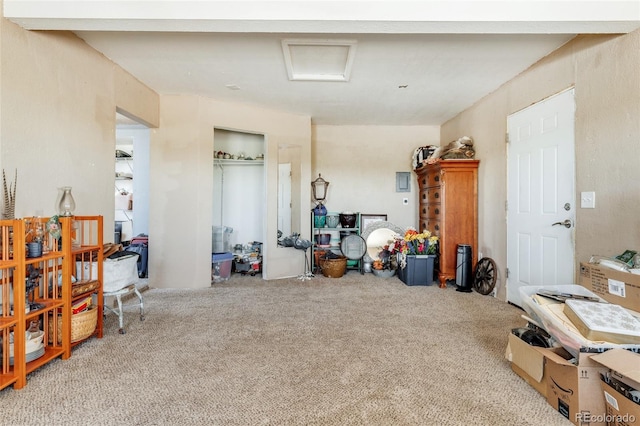 miscellaneous room with carpet flooring