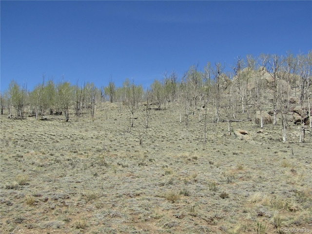 66 Grand Teton Dr, Hartsel, CO 80449 - photo 3