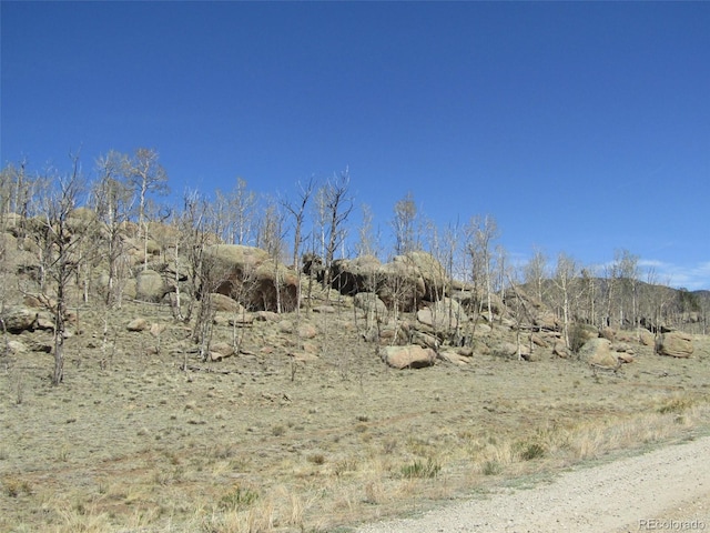 66 Grand Teton Dr, Hartsel, CO 80449 - photo 6