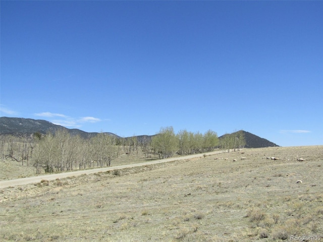 66 Grand Teton Dr, Hartsel, CO 80449 - photo 8