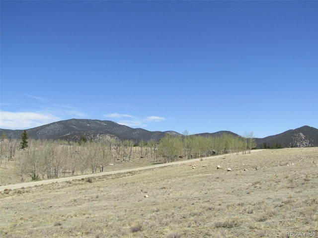 66 Grand Teton Dr, Hartsel, CO 80449 - photo 10