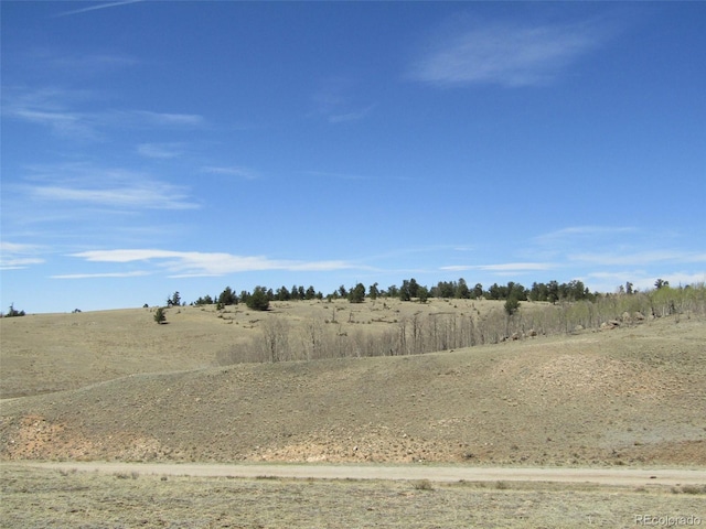 66 Grand Teton Dr, Hartsel, CO 80449 - photo 11