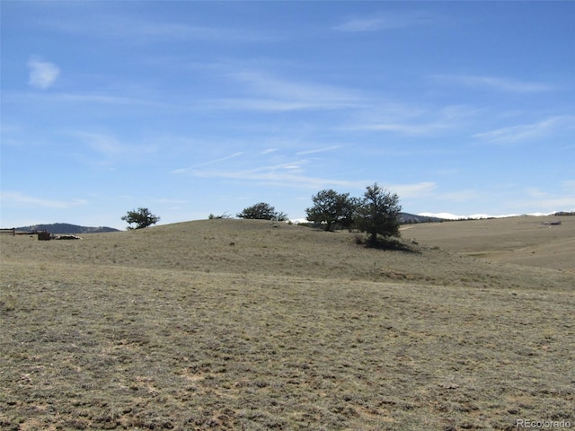 66 Grand Teton Dr, Hartsel, CO 80449 - photo 12