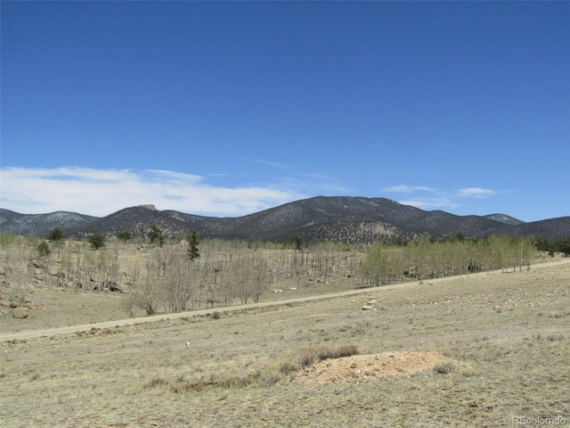 66 Grand Teton Dr, Hartsel, CO 80449 - photo 14