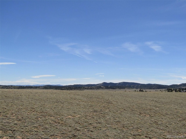 66 Grand Teton Dr, Hartsel, CO 80449 - photo 18