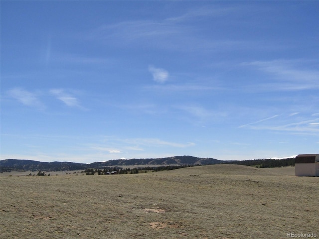 66 Grand Teton Dr, Hartsel, CO 80449 - photo 19