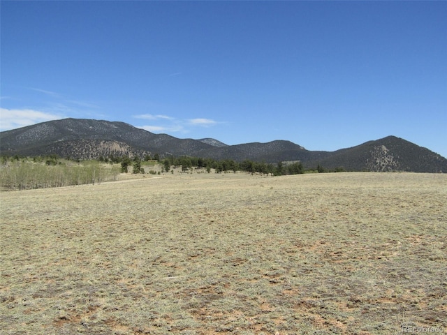 66 Grand Teton Dr, Hartsel, CO 80449 - photo 21