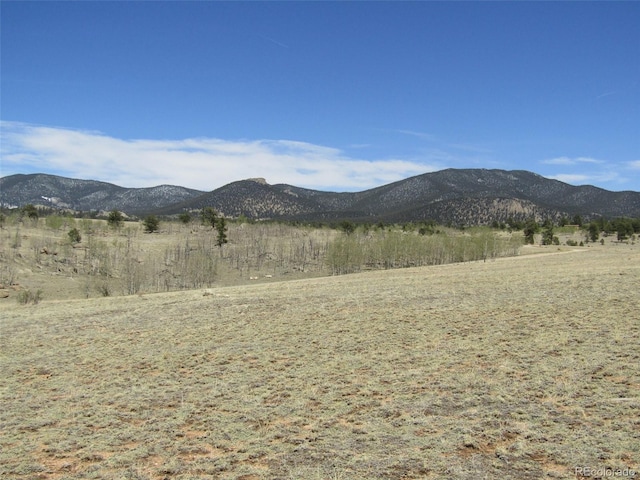 66 Grand Teton Dr, Hartsel, CO 80449 - photo 22