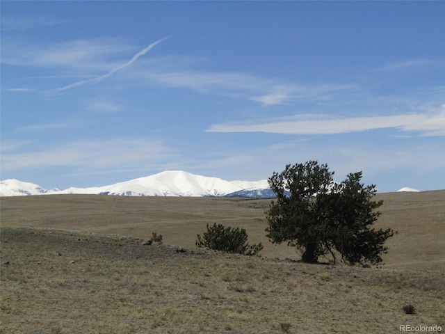 66 Grand Teton Dr, Hartsel, CO 80449 - photo 24